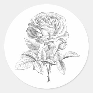 Vintage rose black and white floral sticker