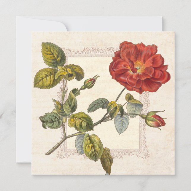 Vintage Rose Botanical Birthday Garden Party Invitation (Front)