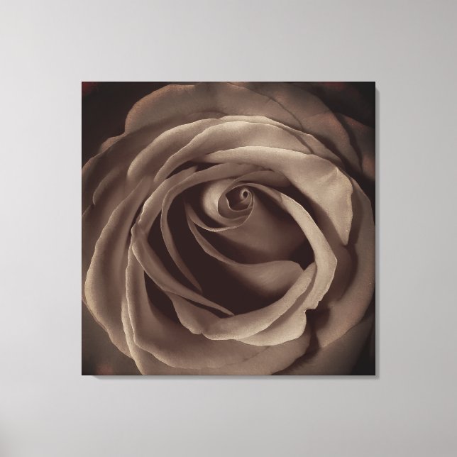 Vintage Rose Canvas Print (Front)