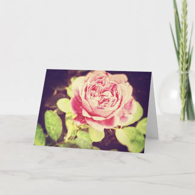 Vintage rose Card | Zazzle