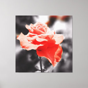 Vintage Rose Flower Canvas Print