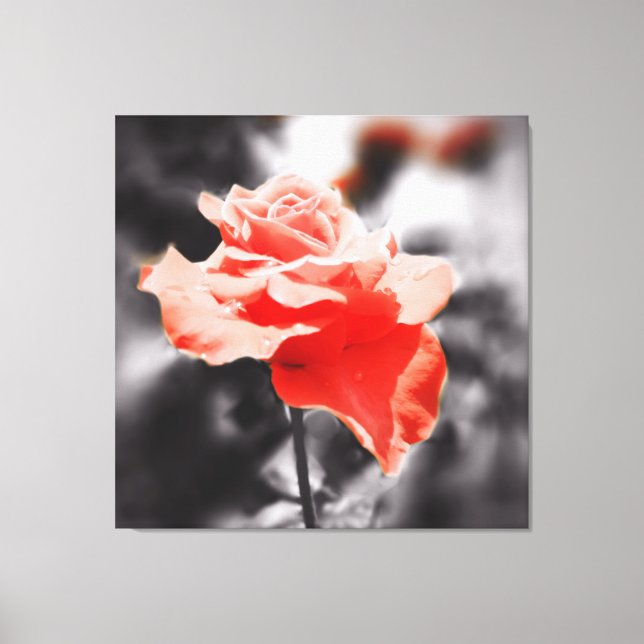 Vintage Rose Flower Canvas Print (Front)