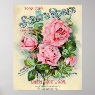 Vintage Rose Flower Catalog Cover Illustration Poster
