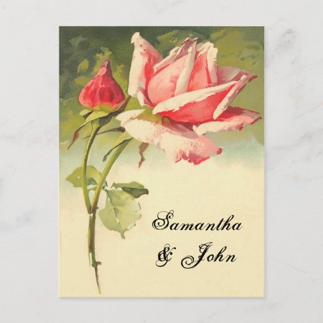 Vintage Rose Save the Date Announcement Postcard (Front)