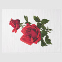 Vintage Rose Series Design 115