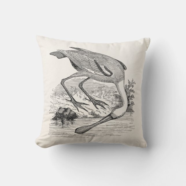 Vintage Roseate Spoonbill Bird - Tropical Birds Cushion (Front)