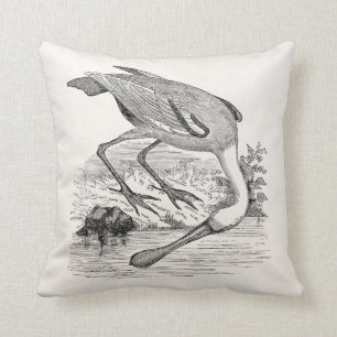 Vintage Roseate Spoonbill Bird - Tropical Birds Cushion