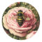 Vintage Roses and Queen Bee