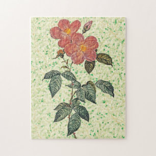 Vintage Roses Art Puzzle