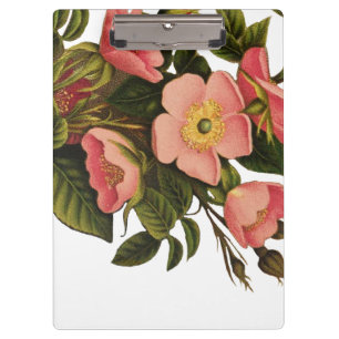 Vintage Roses Beautiful Pink Botanical Clipboard