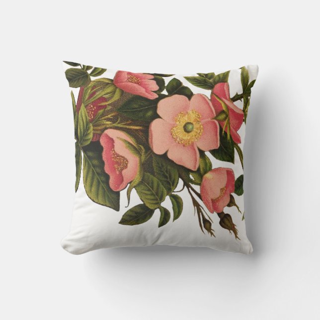 Vintage Roses Beautiful Pink Botanical Cushion (Front)