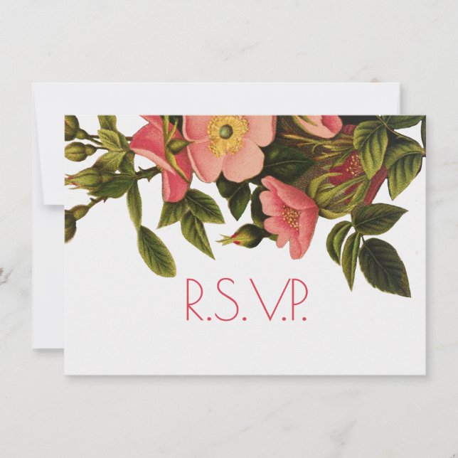 Vintage Roses Beautiful Pink Botanical Invitation (Front)