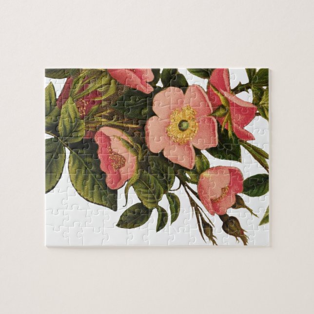 Vintage Roses Beautiful Pink Botanical Jigsaw Puzzle (Horizontal)