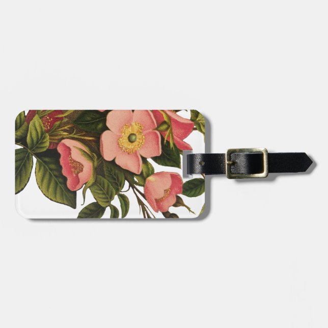 Vintage Roses Beautiful Pink Botanical Luggage Tag (Front Horizontal)