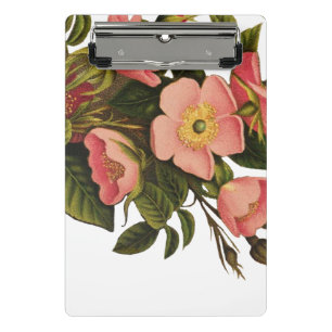 Vintage Roses Beautiful Pink Botanical Mini Clipboard