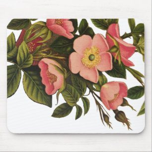 Vintage Roses Beautiful Pink Botanical Mouse Mat