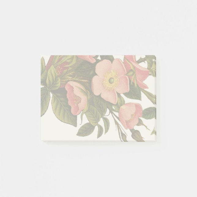 Vintage Roses Beautiful Pink Botanical Post-it Notes (Front)