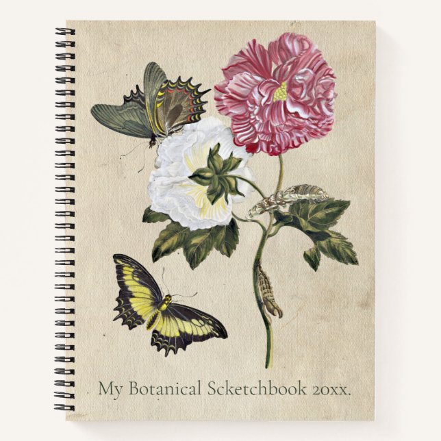 Vintage Roses Butterfly Botanical Art Maria Merian Notebook (Front)