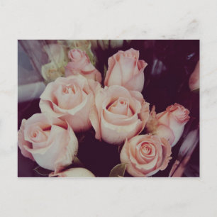 Vintage Roses IV Postcard