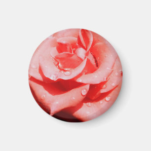 Vintage Roses Magnet