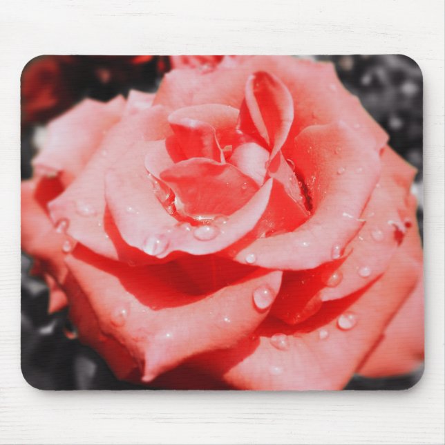 Vintage Roses Mouse Mat (Front)