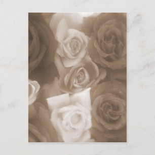 vintage roses postcard