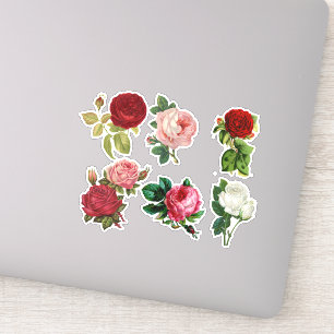 Vintage roses,pretty floral Stickers