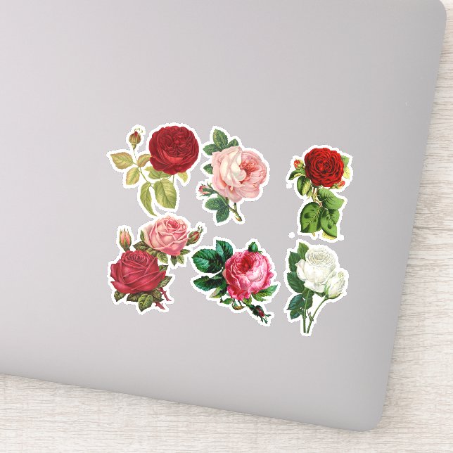 Vintage roses,pretty floral Stickers (Detail)