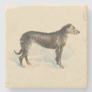 Vintage Rough Coated Lurcher Print Stone Coaster