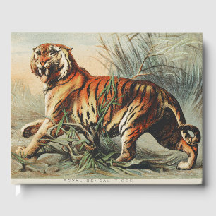 Vintage Royal Bengal Tiger Naturalist Art Print Guest Book