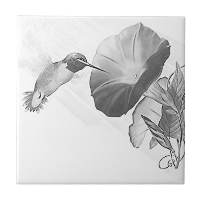 Vintage Ruby Throated Hummingbird in B&W Tile (Front)