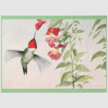 vintage ruby throated hummingbird pastel
