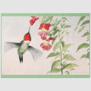vintage ruby throated hummingbird pastel tissue paper