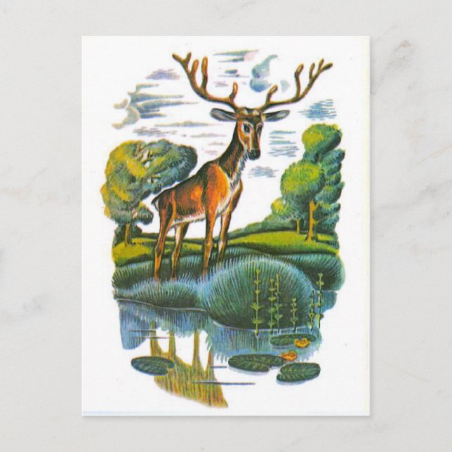 Vintage Russian illustrations, Aesop's fables 4 Postcard (Front)