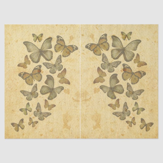Vintage Rustic  Distressed Butterfly Butterflies Tissue Paper (Front)