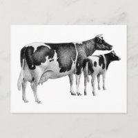 Vintage Rustic Farm Cow Calf Drawing Black White