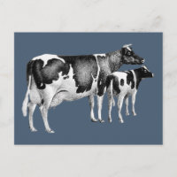 Vintage Rustic Farm Cow Calf Drawing Blue White