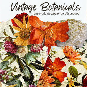 Vintage Rustic Floral Botanical Decoupage Wrapping Paper Sheet