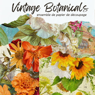 Vintage Rustic Floral Botanical Decoupage Wrapping Paper Sheet