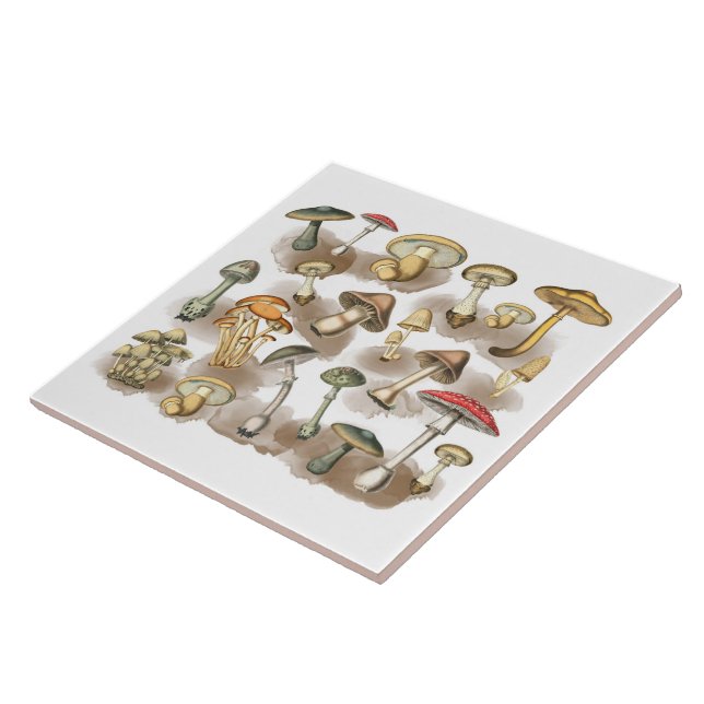 Vintage Rustic Forest Mushrooms Tile (Side)