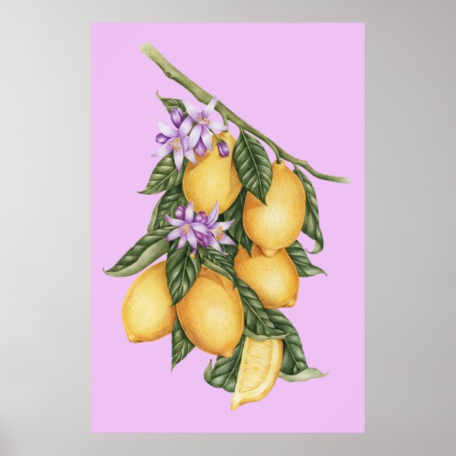 Vintage Rustic Lemons Summer Botanical Poster (Front)