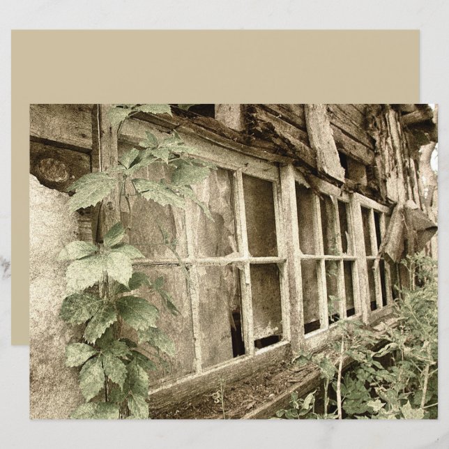 Vintage Rustic Old Wood Barn Windows (Front/Back)