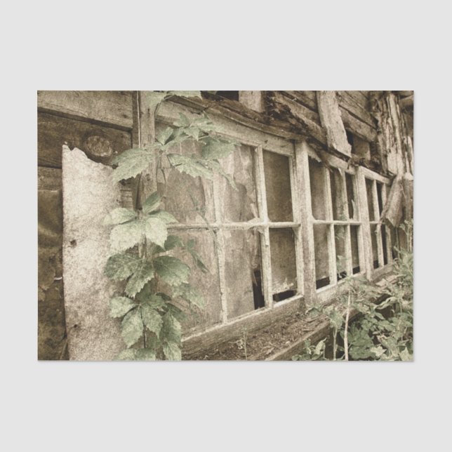 Vintage Rustic Old Wood Barn Windows Tissue Paper (Front)