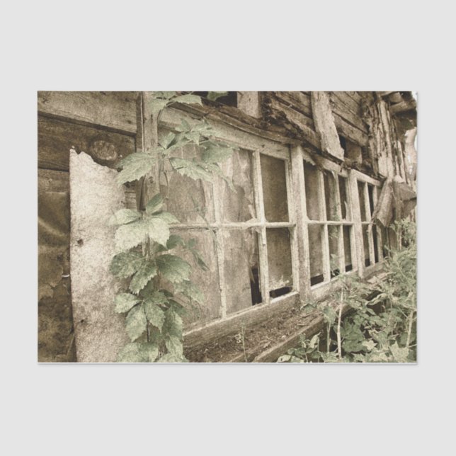 Vintage Rustic Old Wood Barn Windows Tissue Paper (Front)