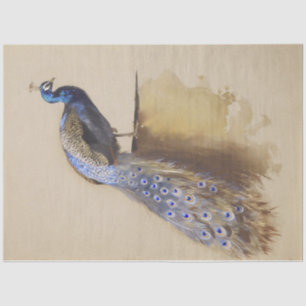 Vintage Rustic Peacock Peacocks Decoupaging Tissue Paper