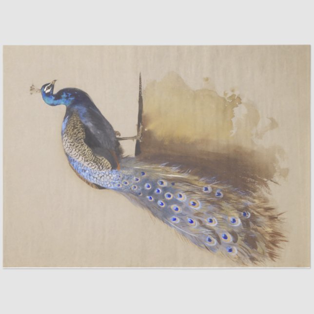 Vintage Rustic Peacock Peacocks Decoupaging Tissue Paper (Front)