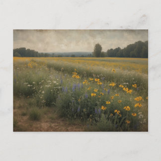 vintage rustic wildflower field summer landscape postcard