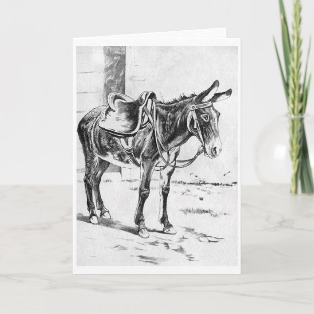Vintage - Saddled Up Donkey, Card (Front)