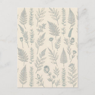 Vintage Sage Green Ferns Wildflowers Botanical Postcard