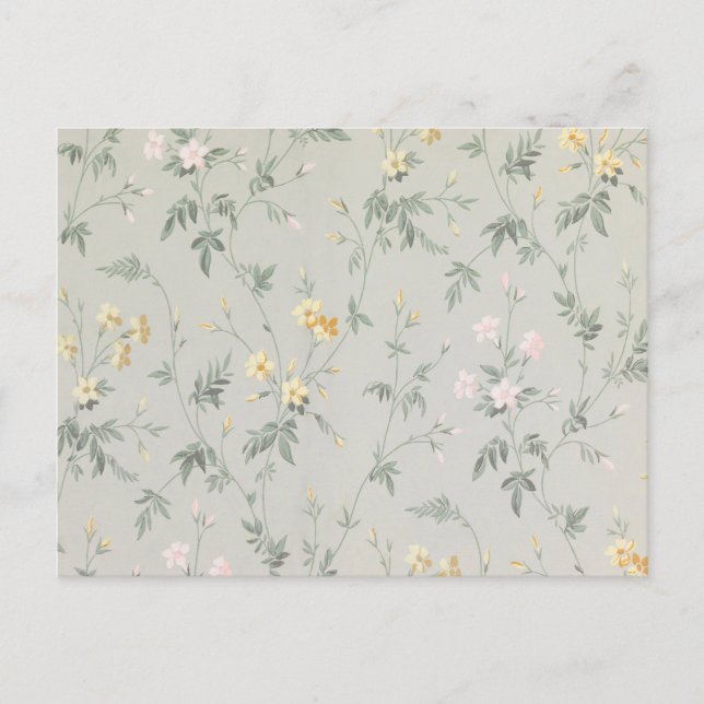 Vintage Sage Green Wildflower Floral Pattern Postcard (Front)